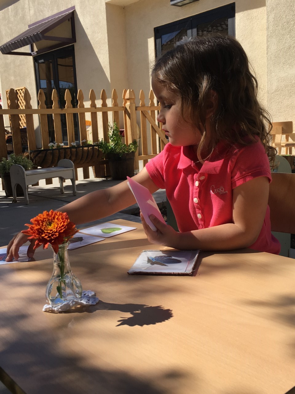 Vocabulary Enrichment Cards