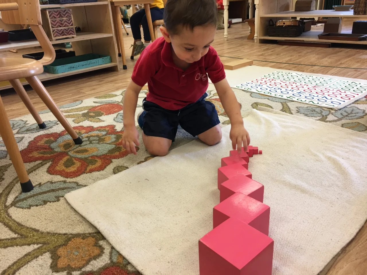 Pink Tower