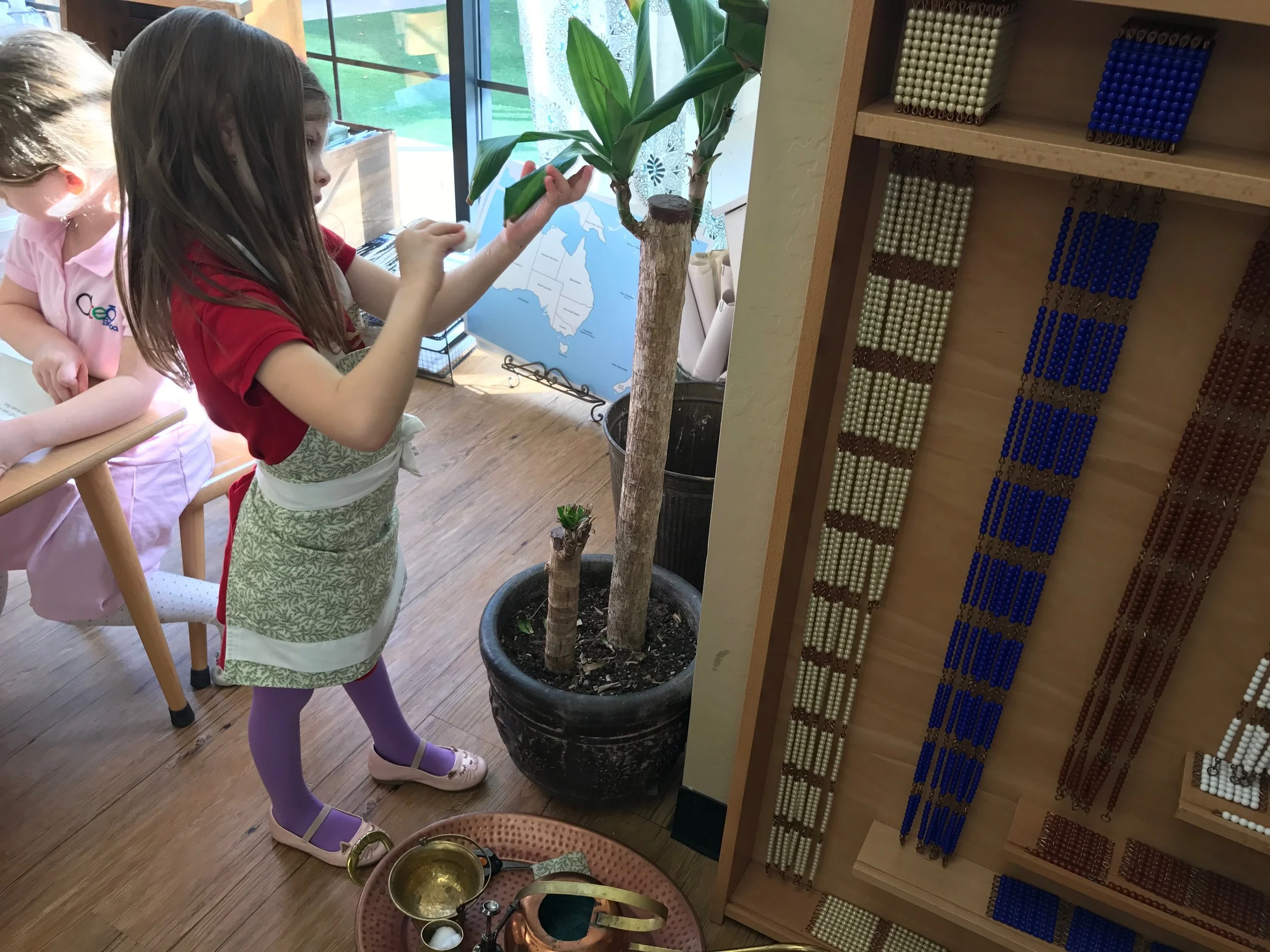 Taking Care of Plants