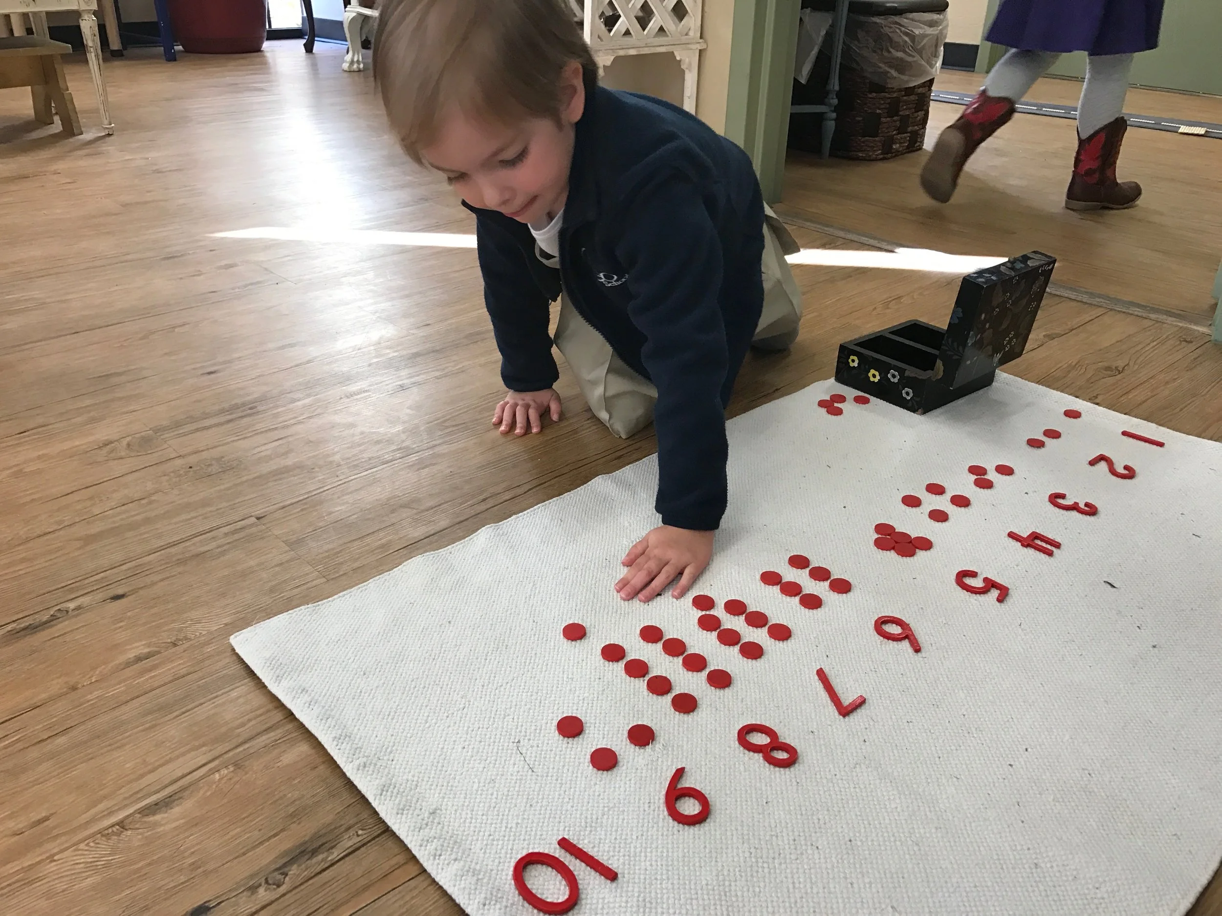 Numbers and Counters