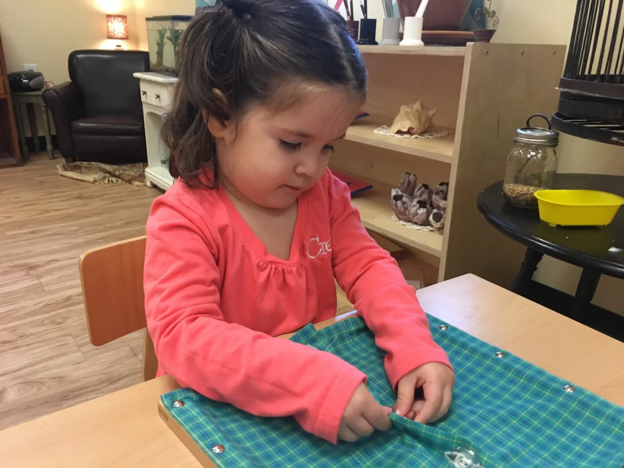 Large Button Frame
