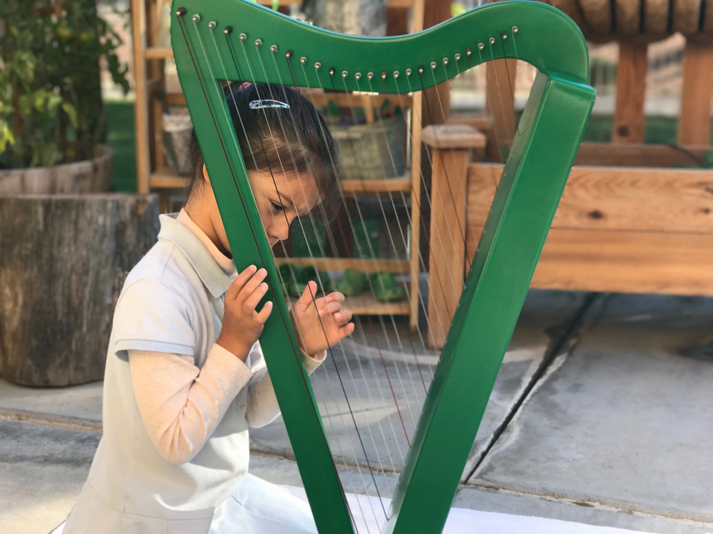 Musical Instruments