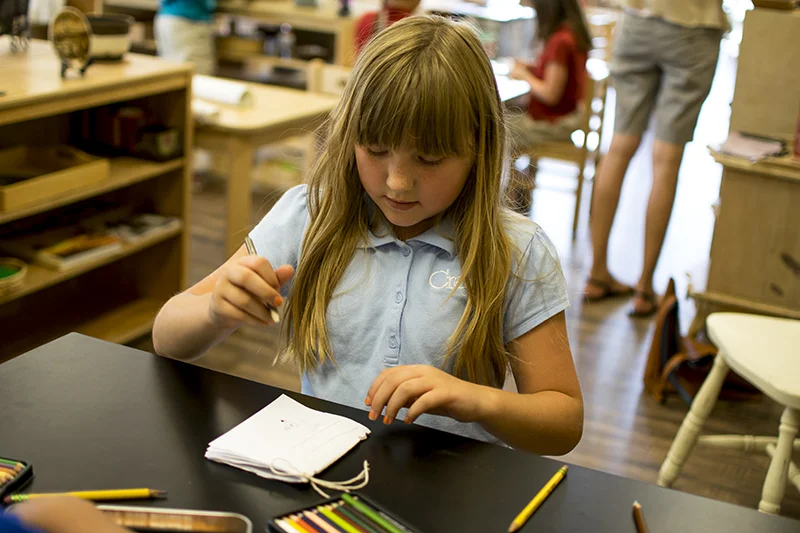 Scientific Notebook making