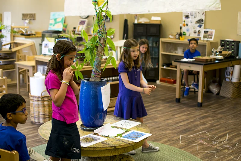 Ecosystem Art Show