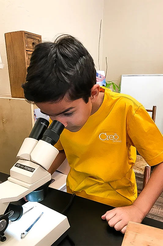 Use of microscope