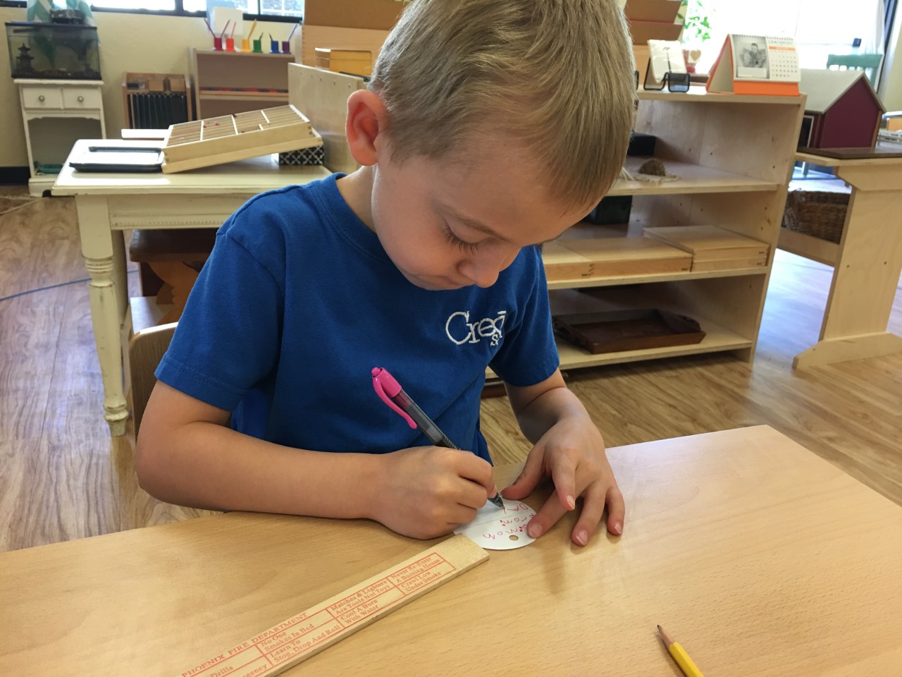 Fine Motor Skills