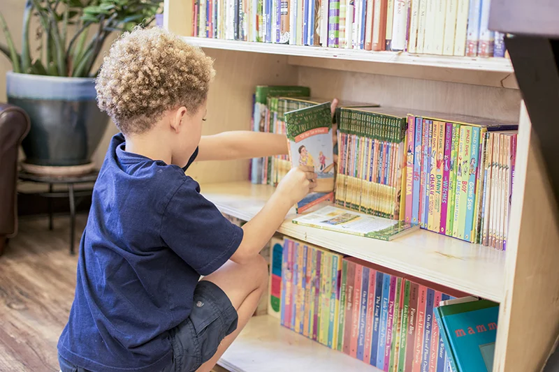 The Library
