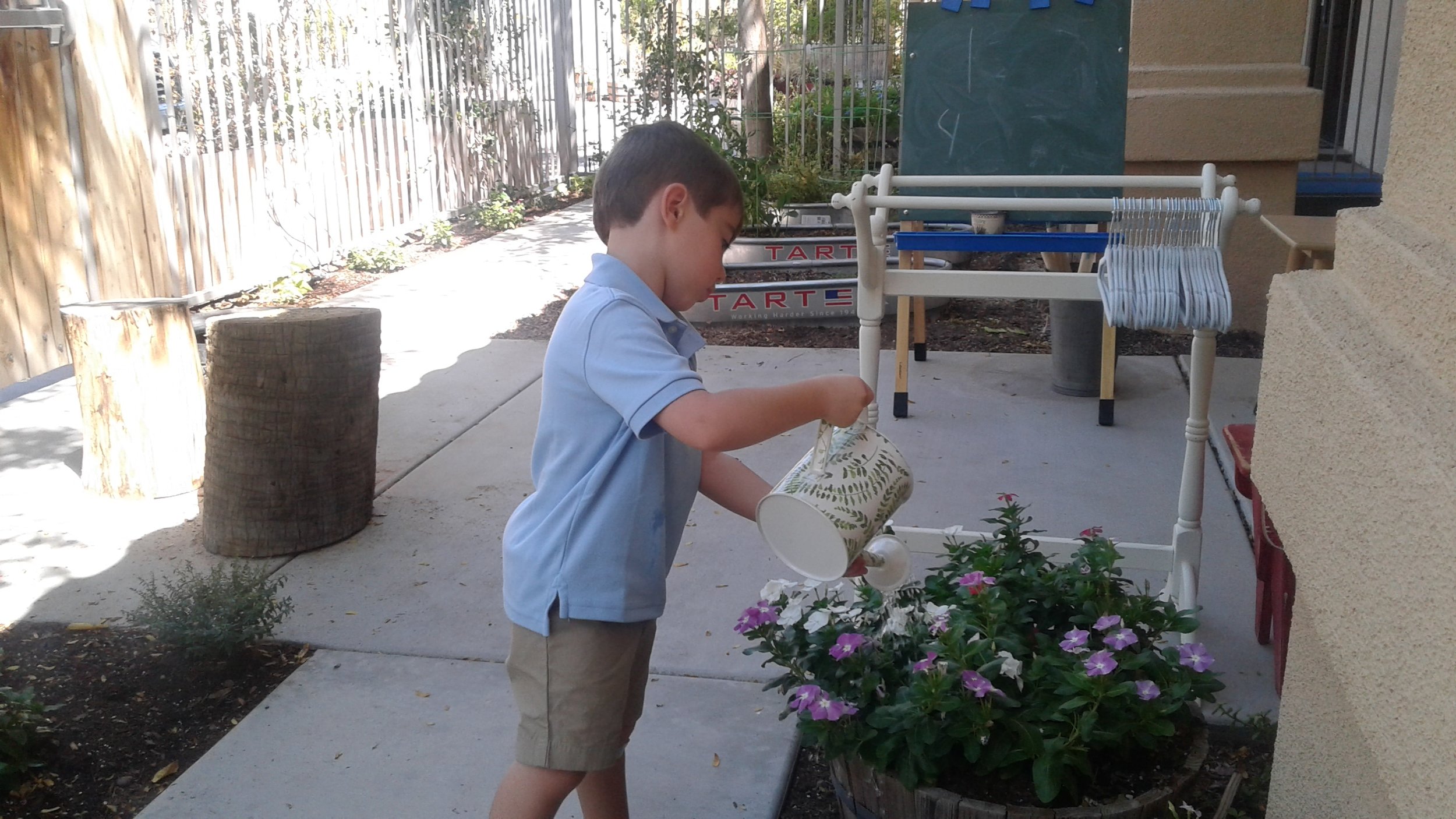 Watering plants
