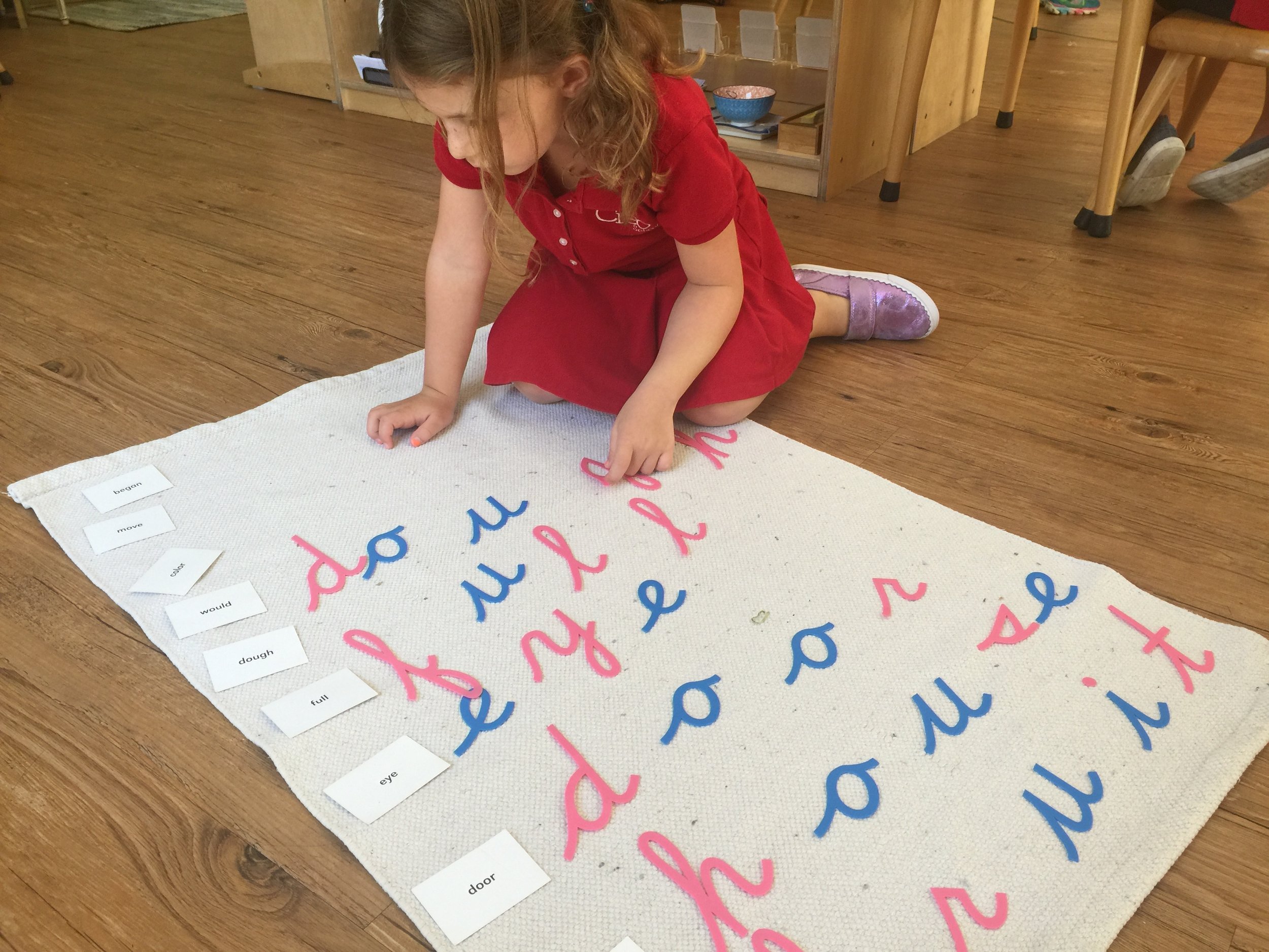 Puzzle Words
