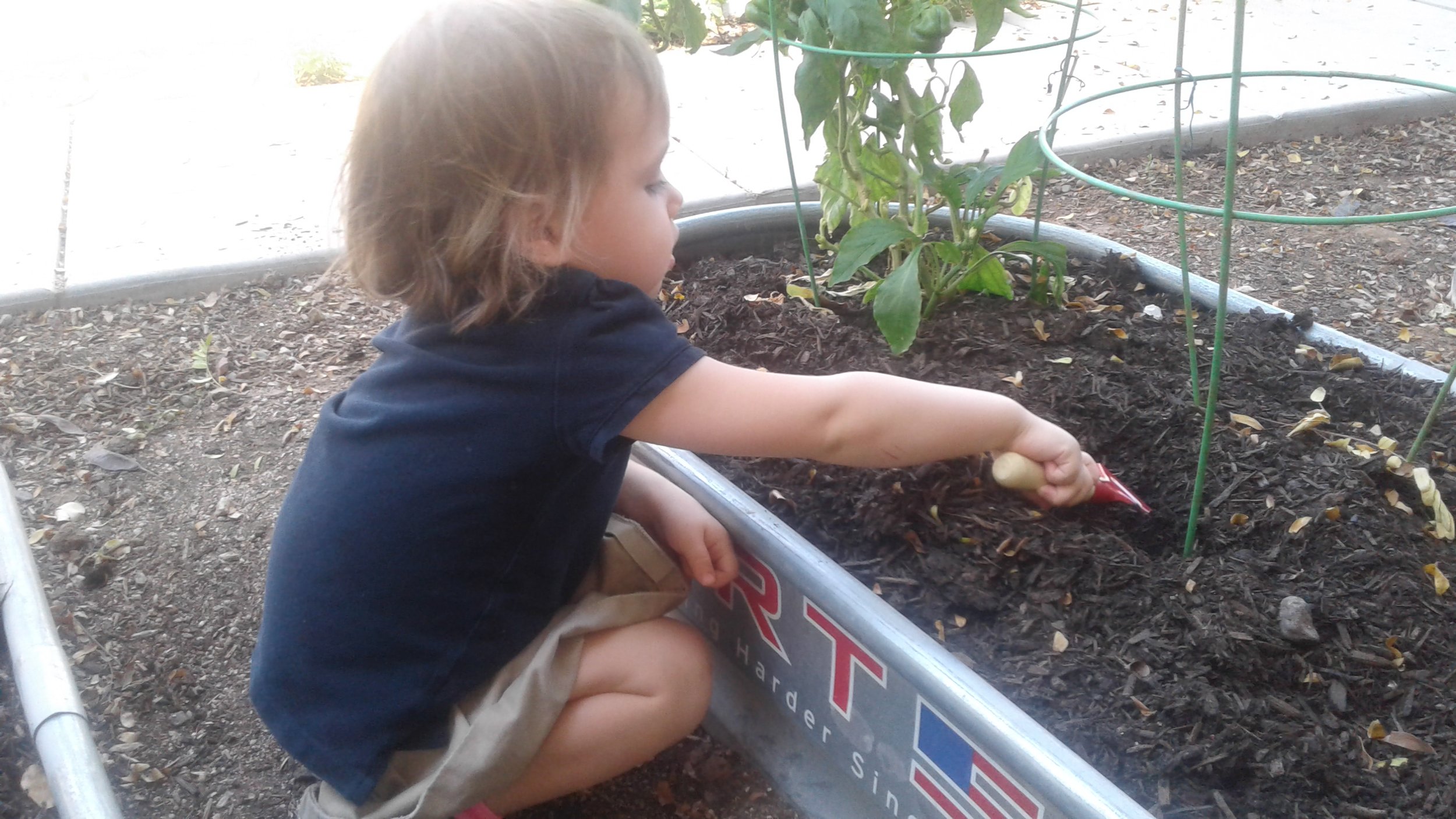 Planting