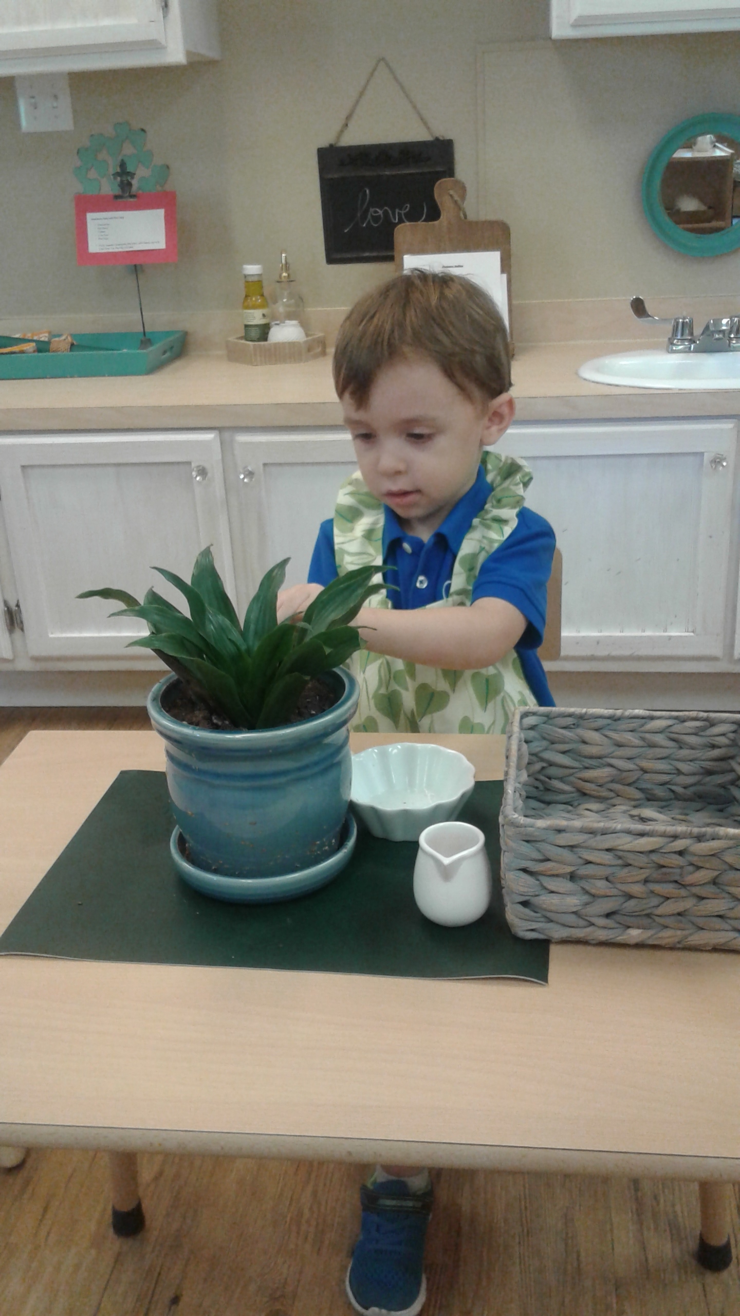 Cleaning a Plant