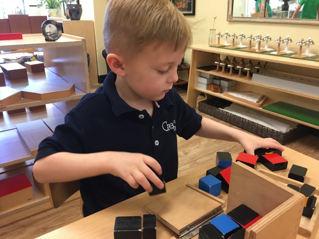 Trinomial Cube