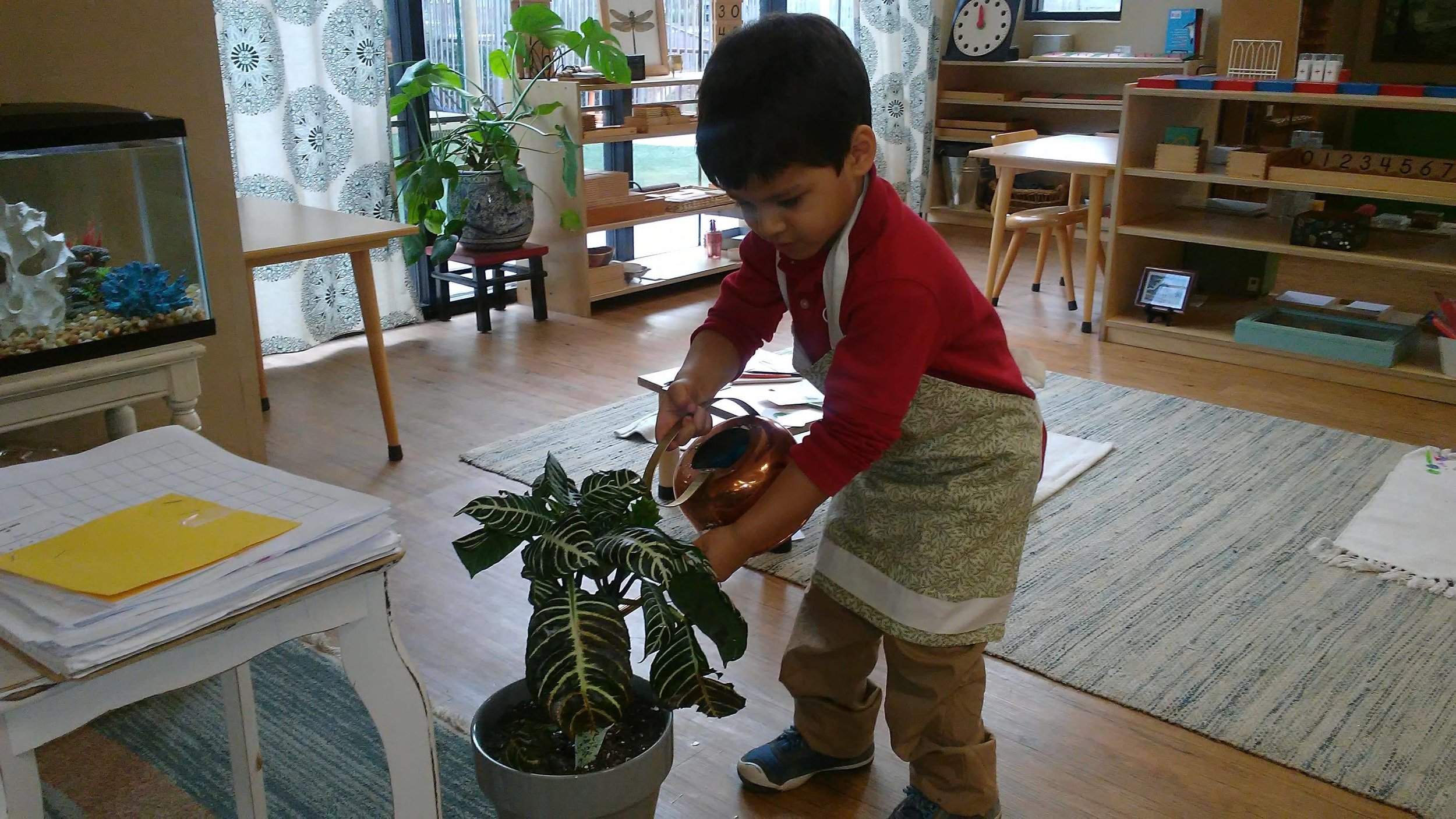 Watering Plants