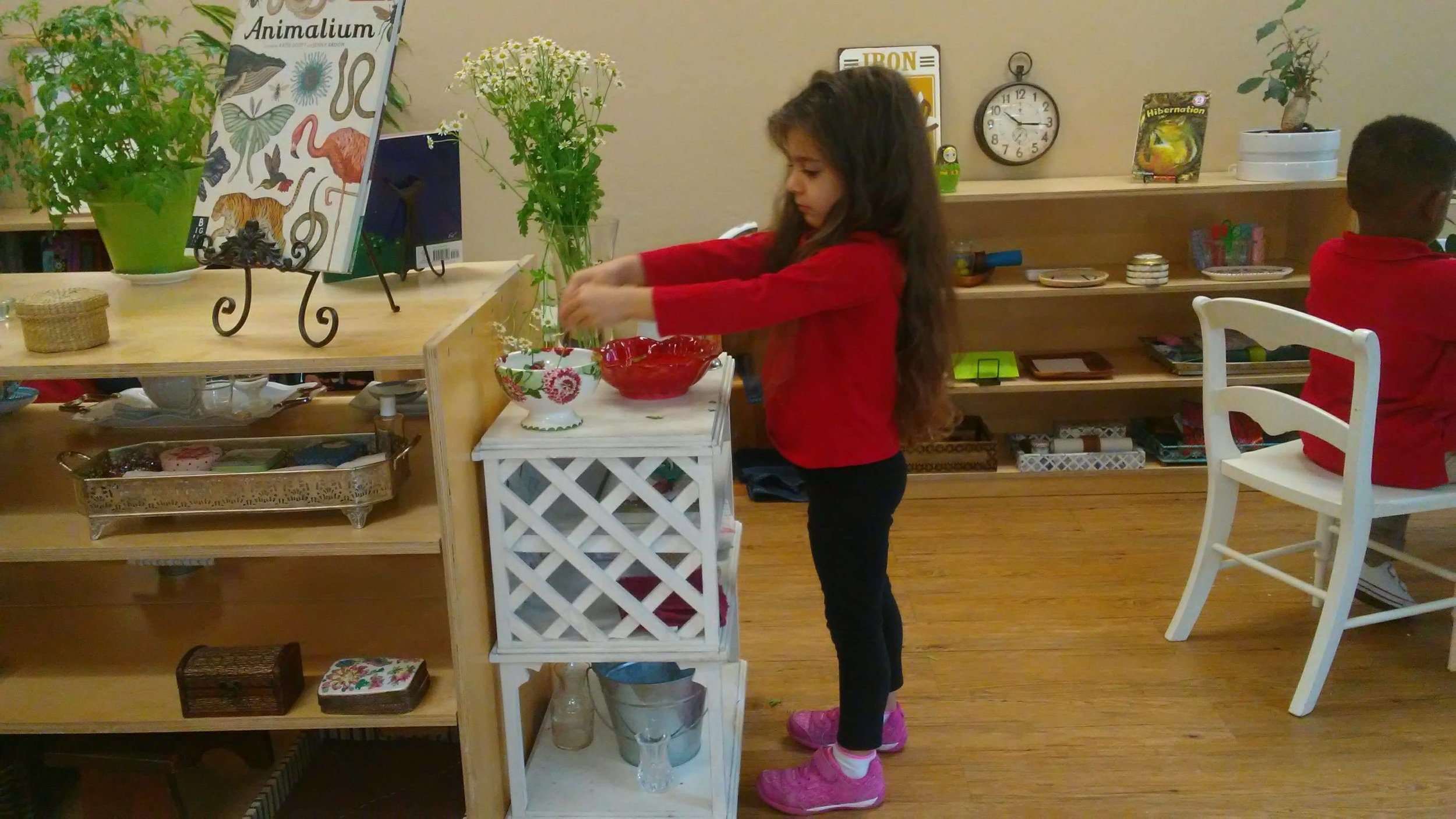 Flower Arranging