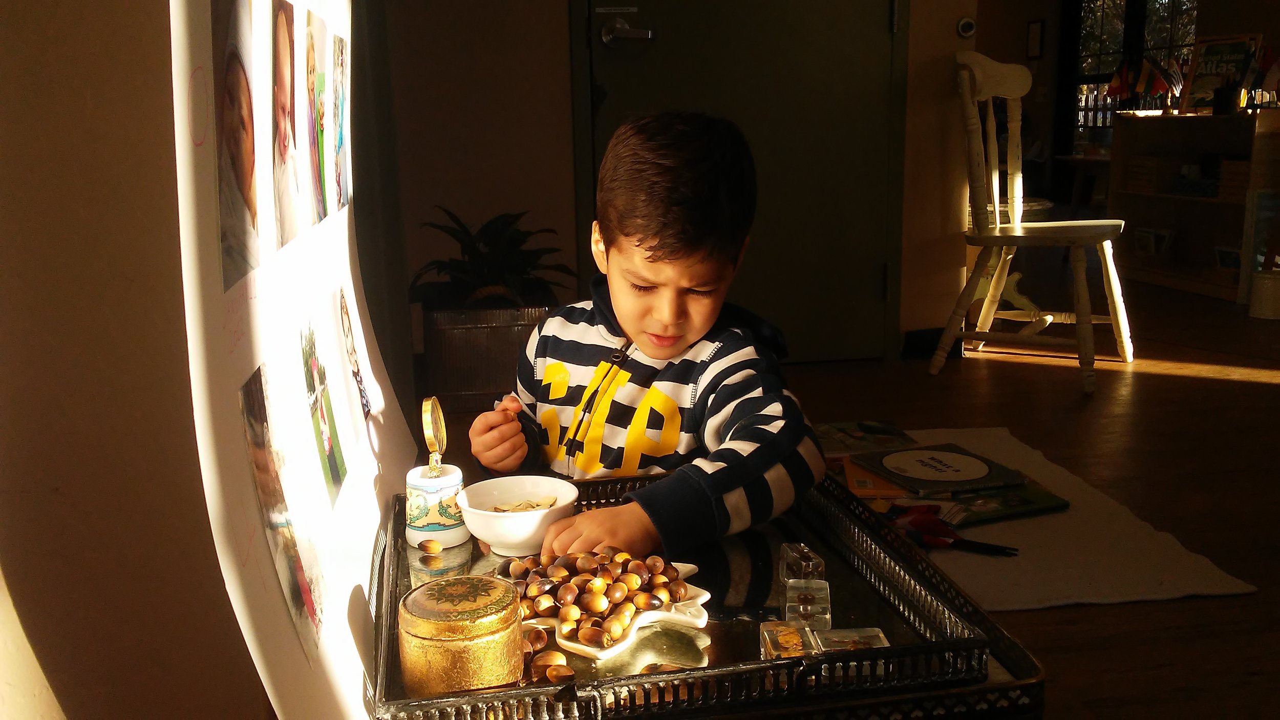 Discovery Table Counting