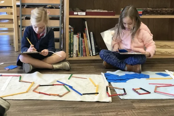 Constructive Sticks: Polygons