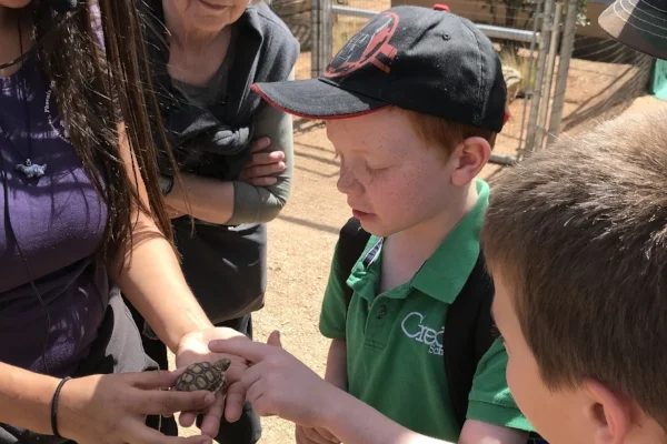 Herpetological Society