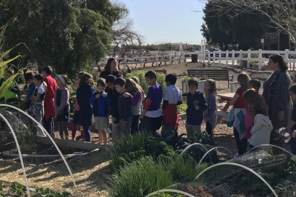Community Garden