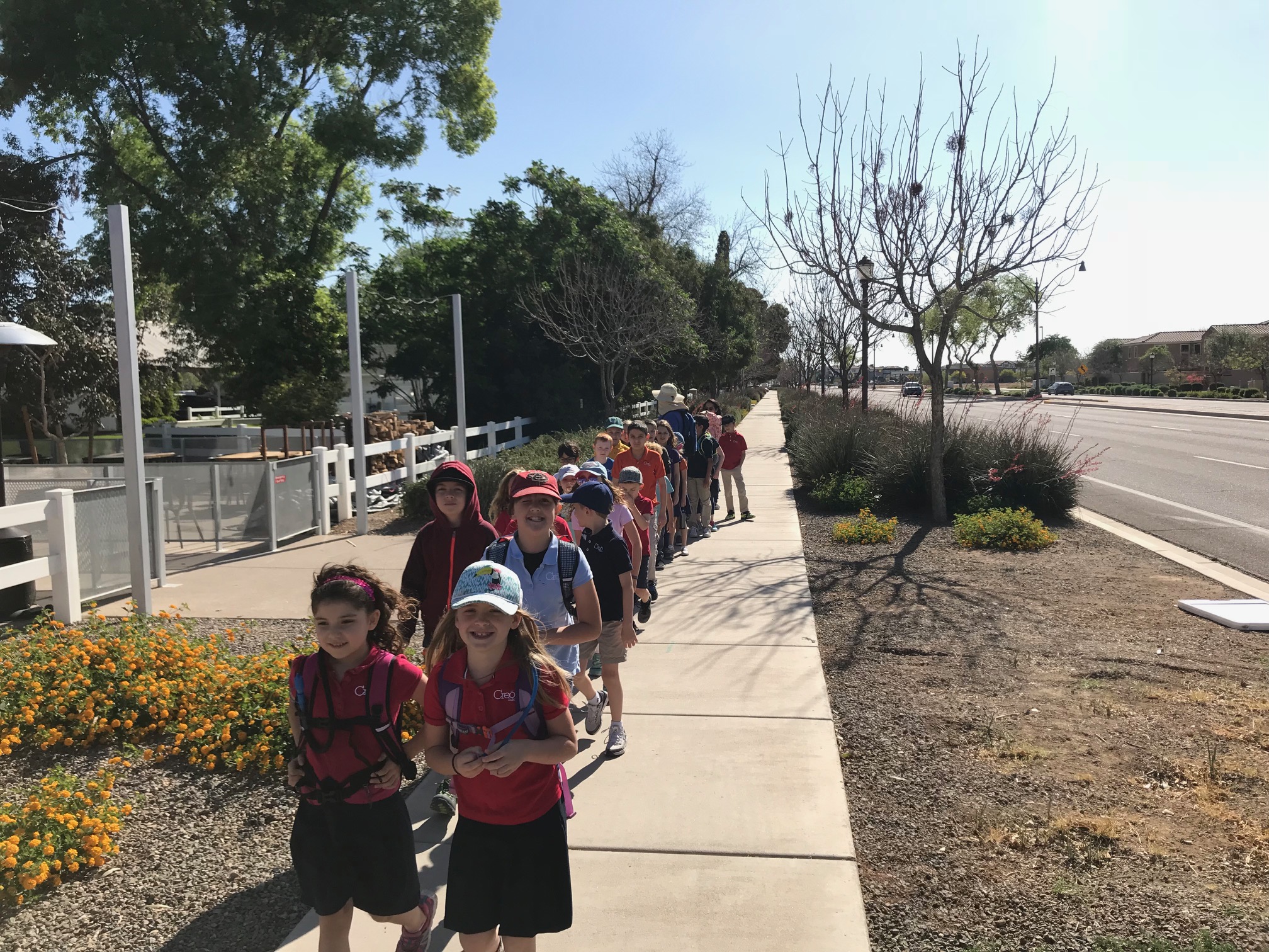 Nature Walks