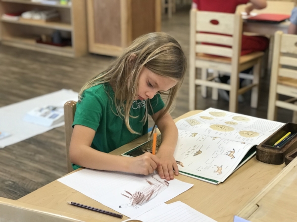 Reasearching Animals