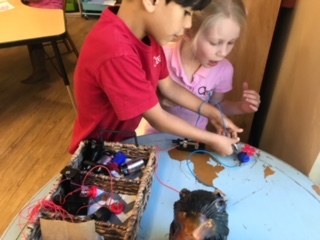 Collaborative Experiments