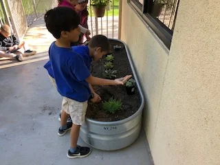 Gardening