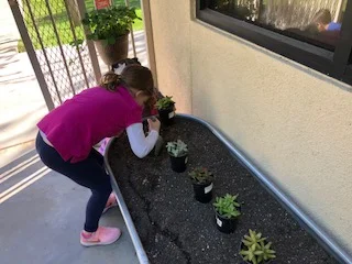 Gardening