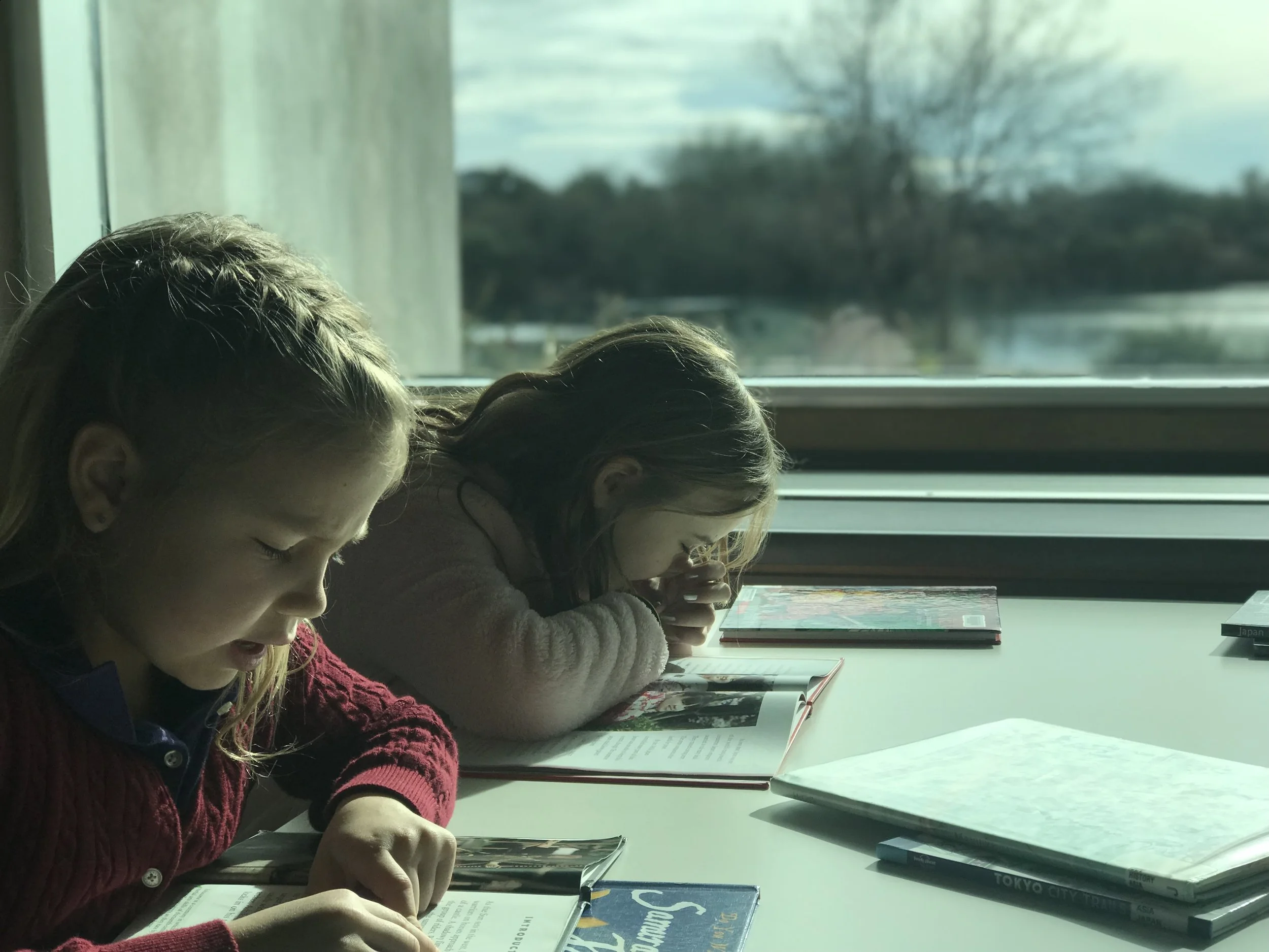 Library Visit