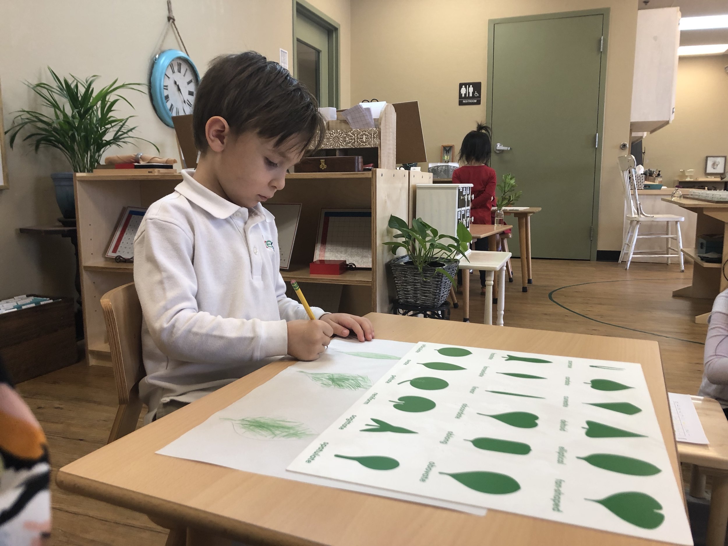 Leaf cabinet