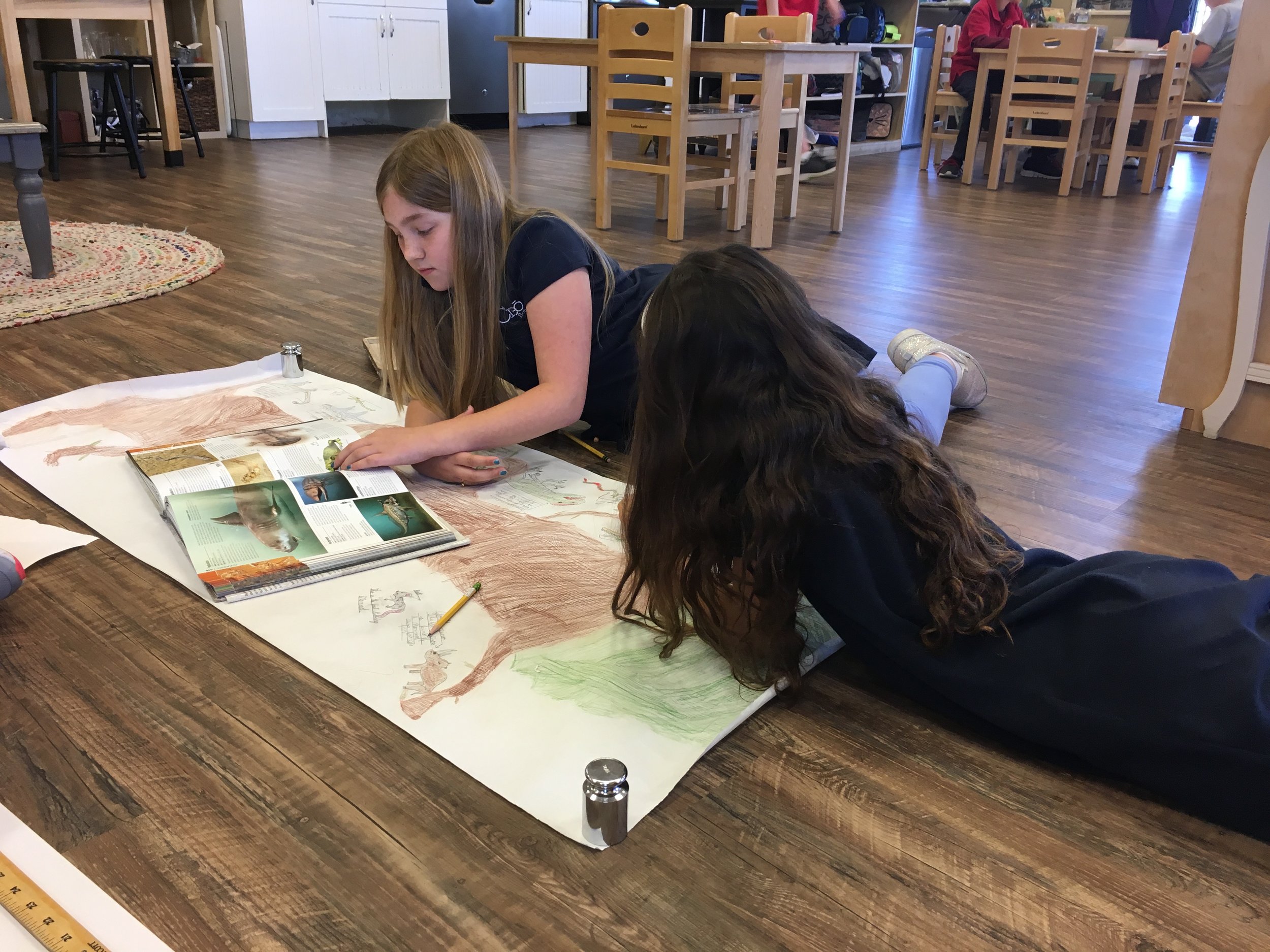 Research on the Tree of Life