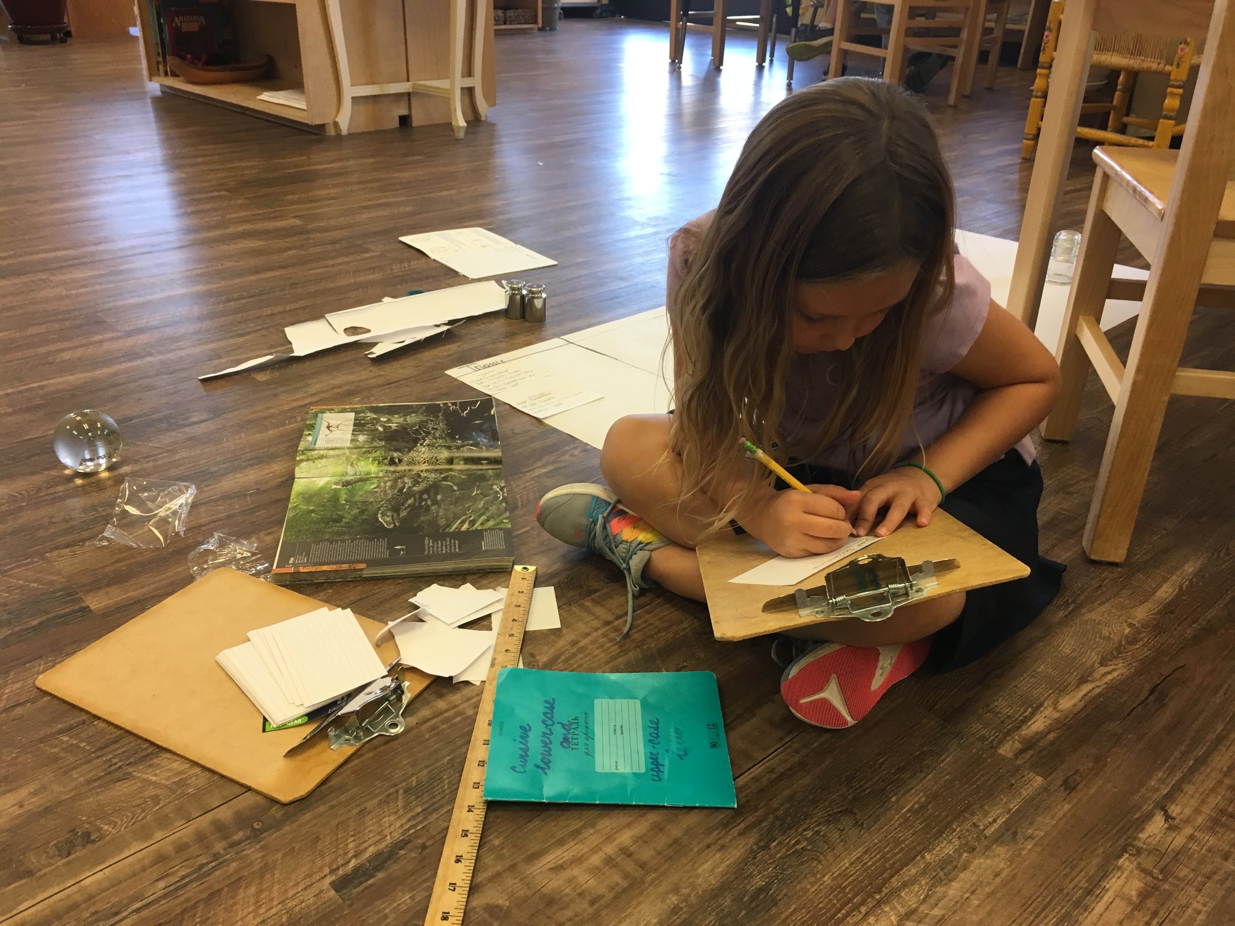 Dinosaur Research