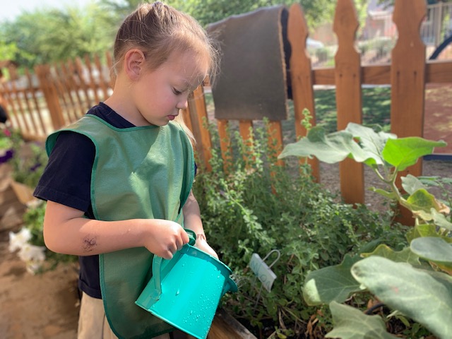 Gardening