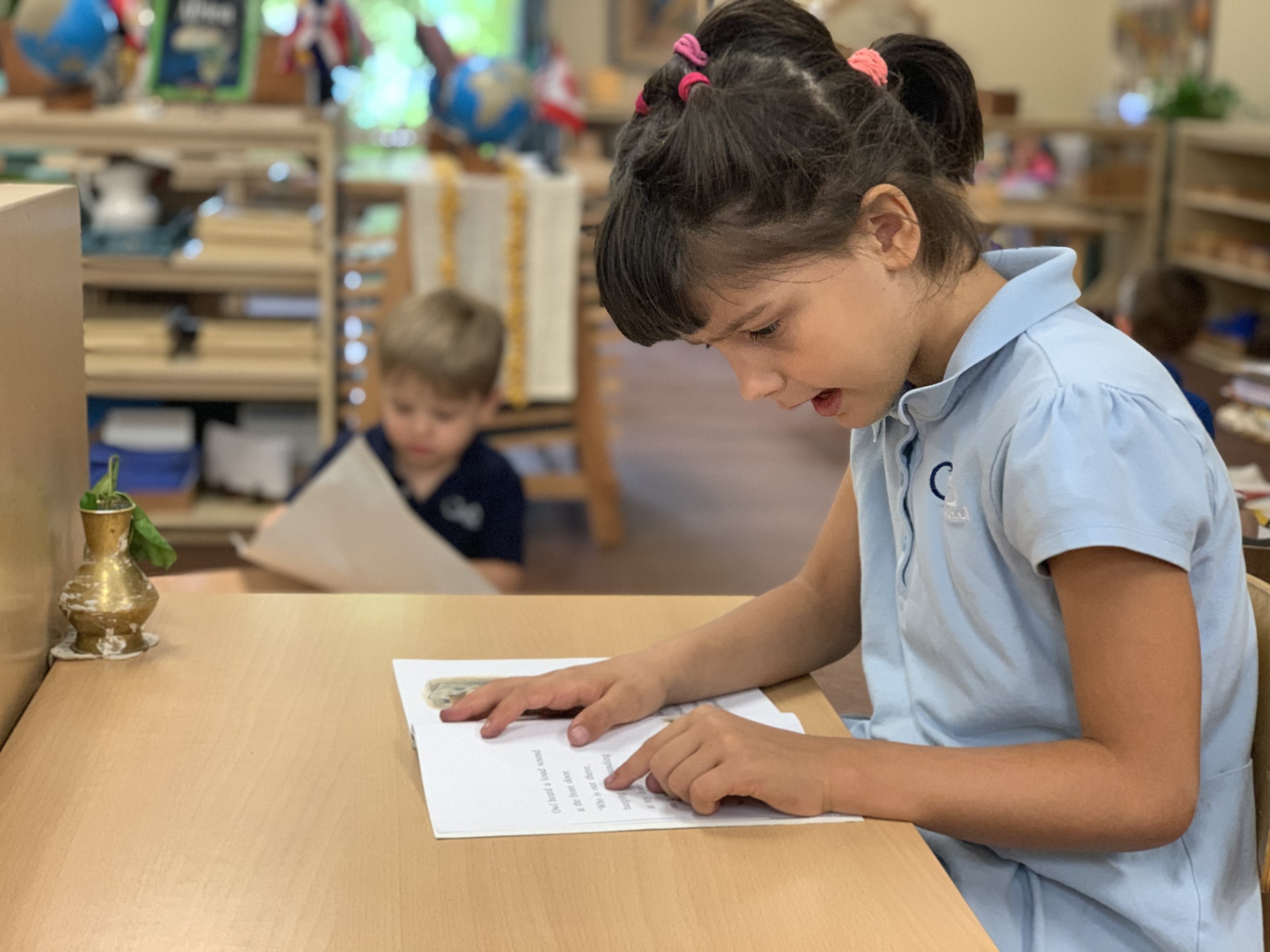 Independent Reading