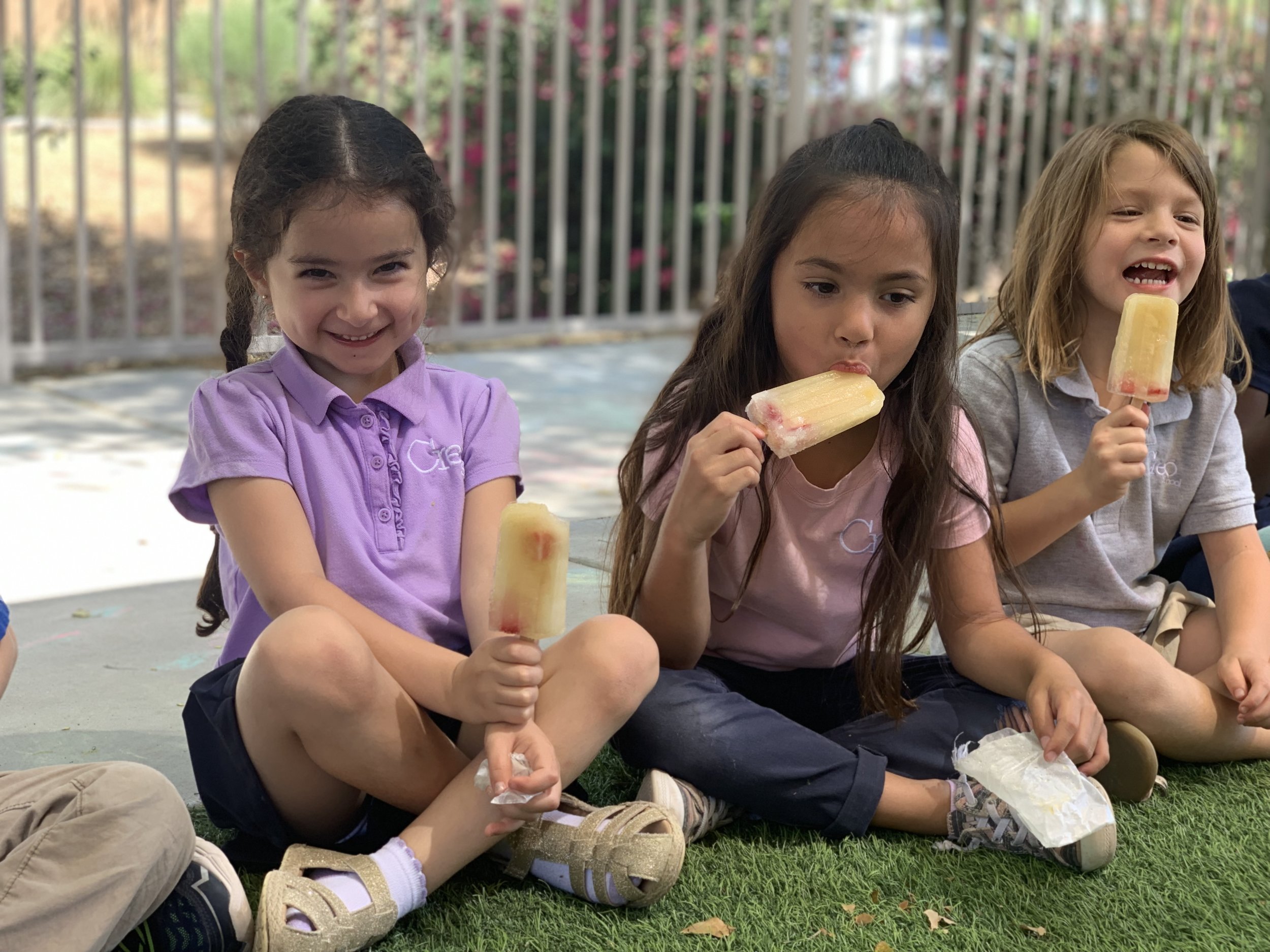 Popsicles!