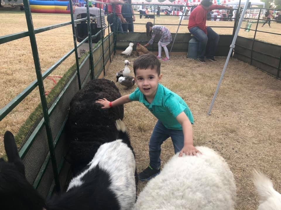Our kiddos LOVE animals!