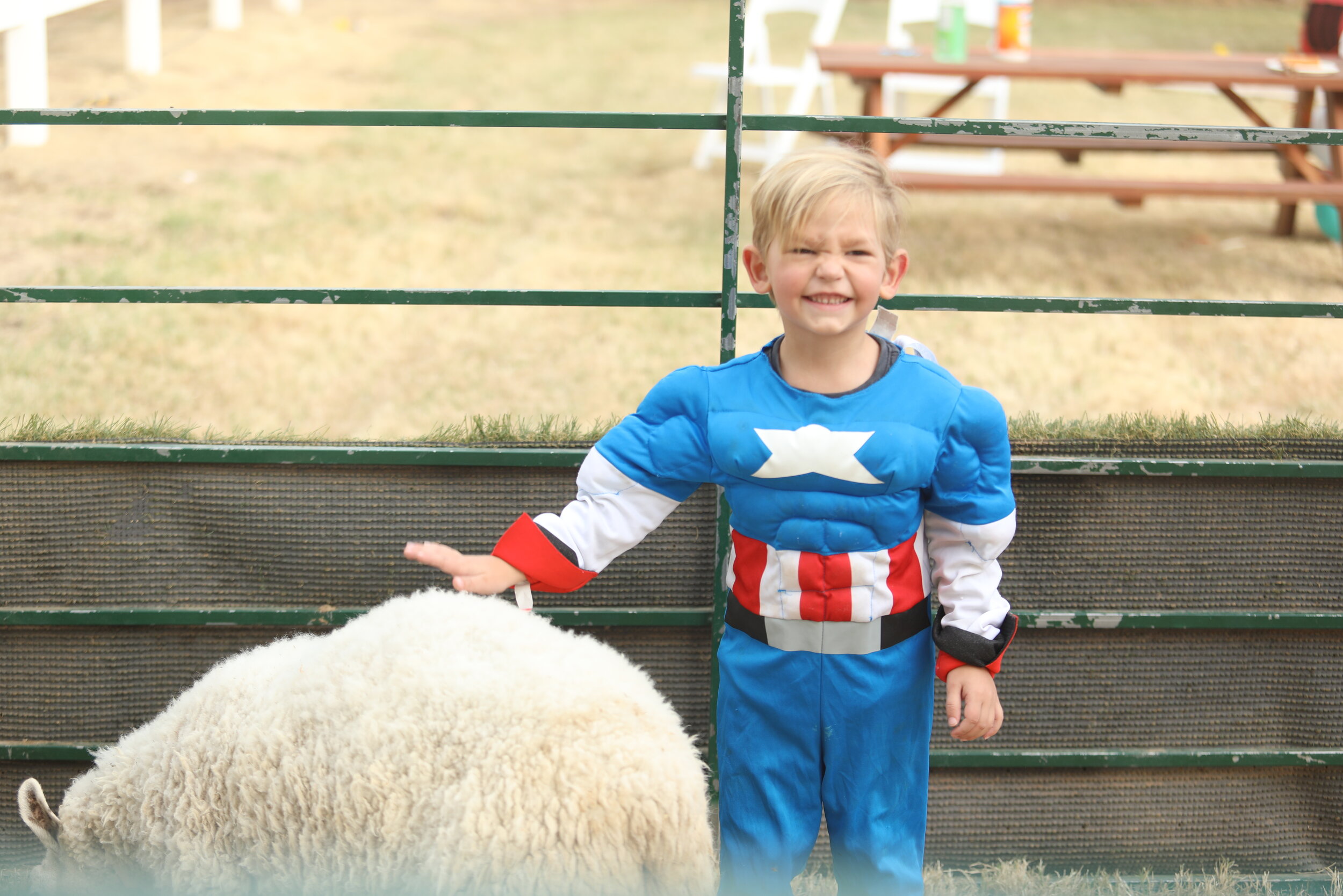 Super Heroes and Petting Zoos = magic!