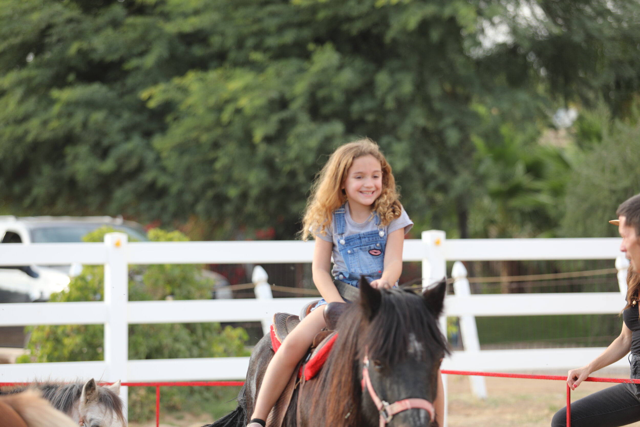 Pony Rides!