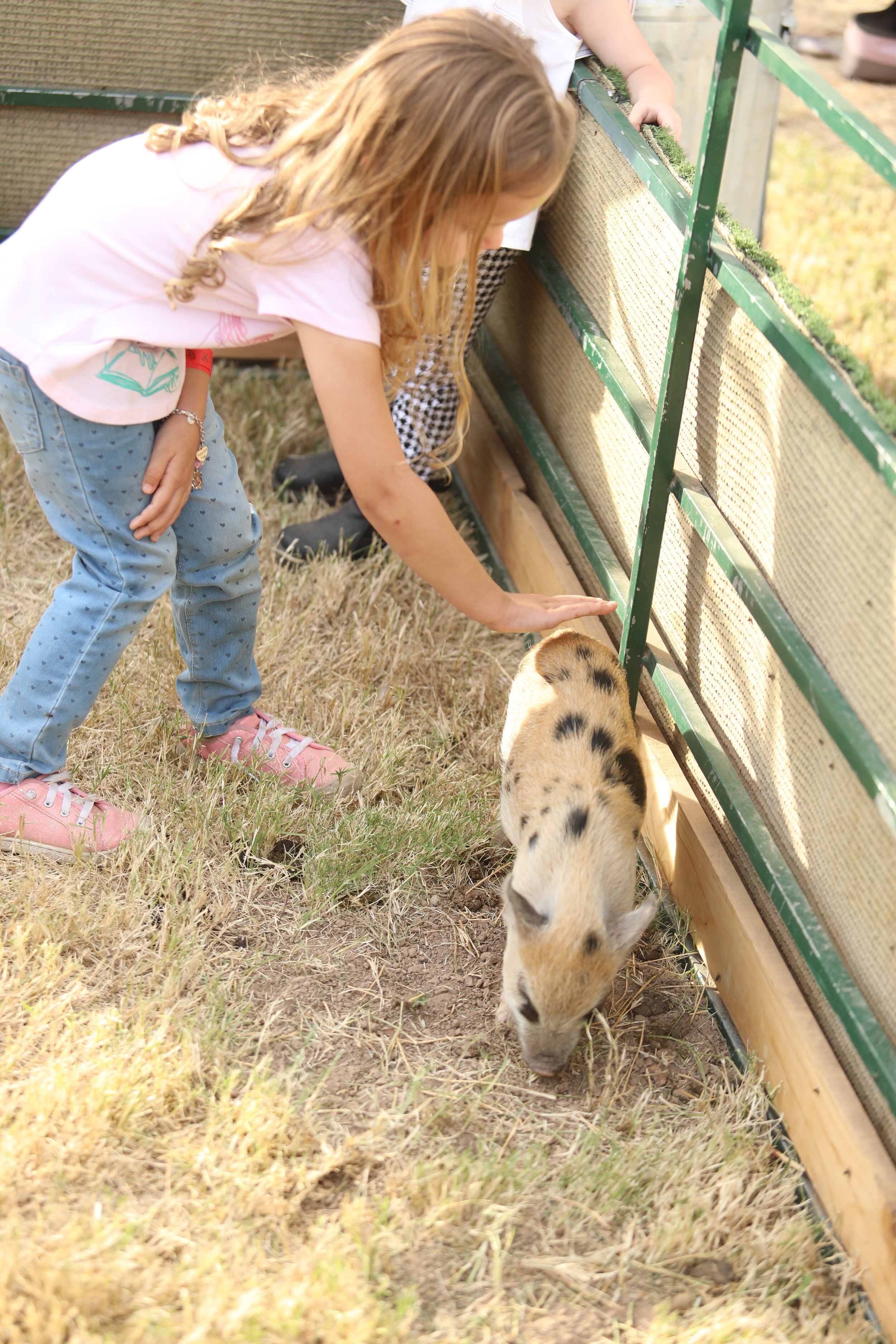 Piglet love!