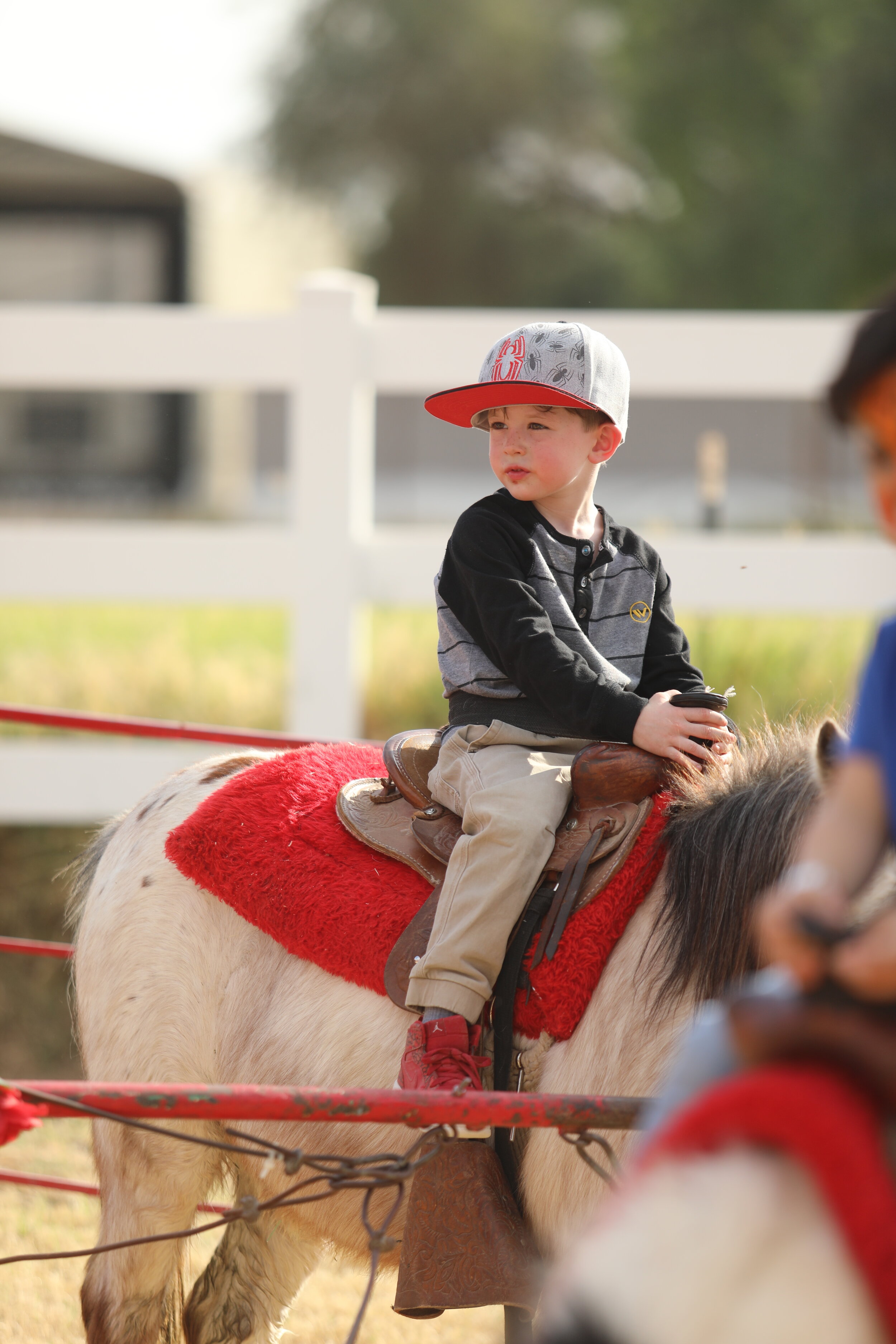 Pony Rides!