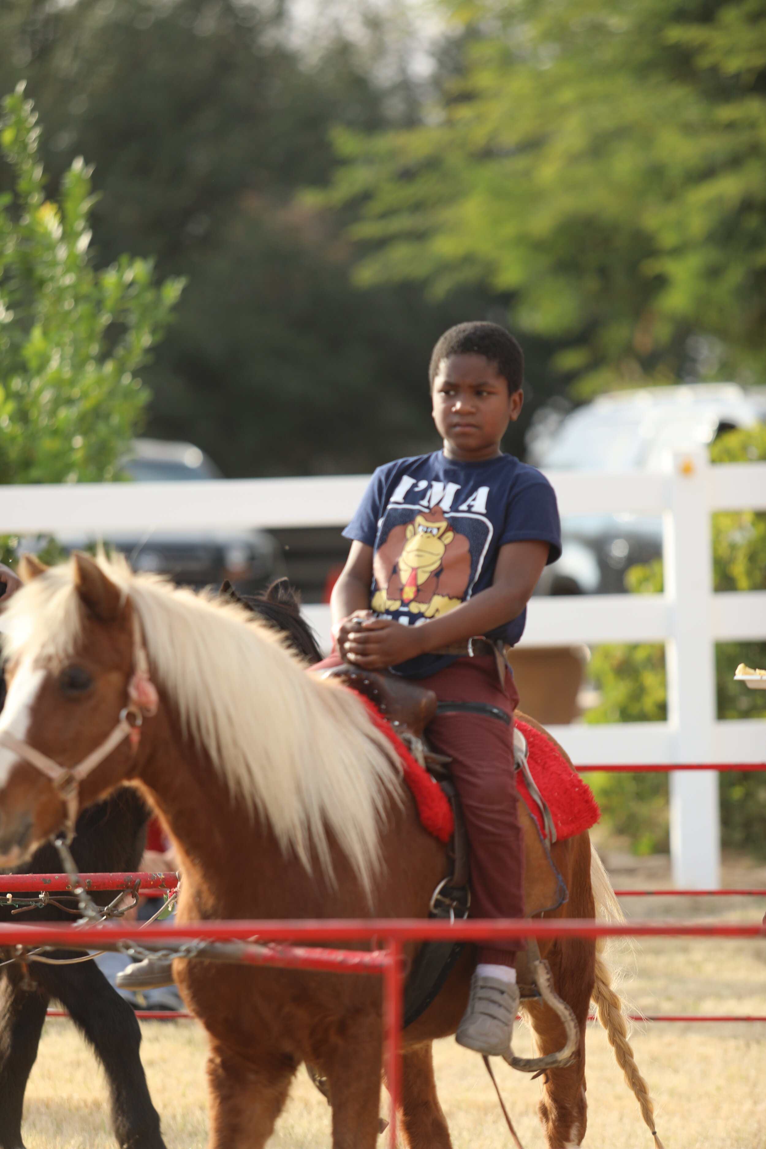Pony Rides!
