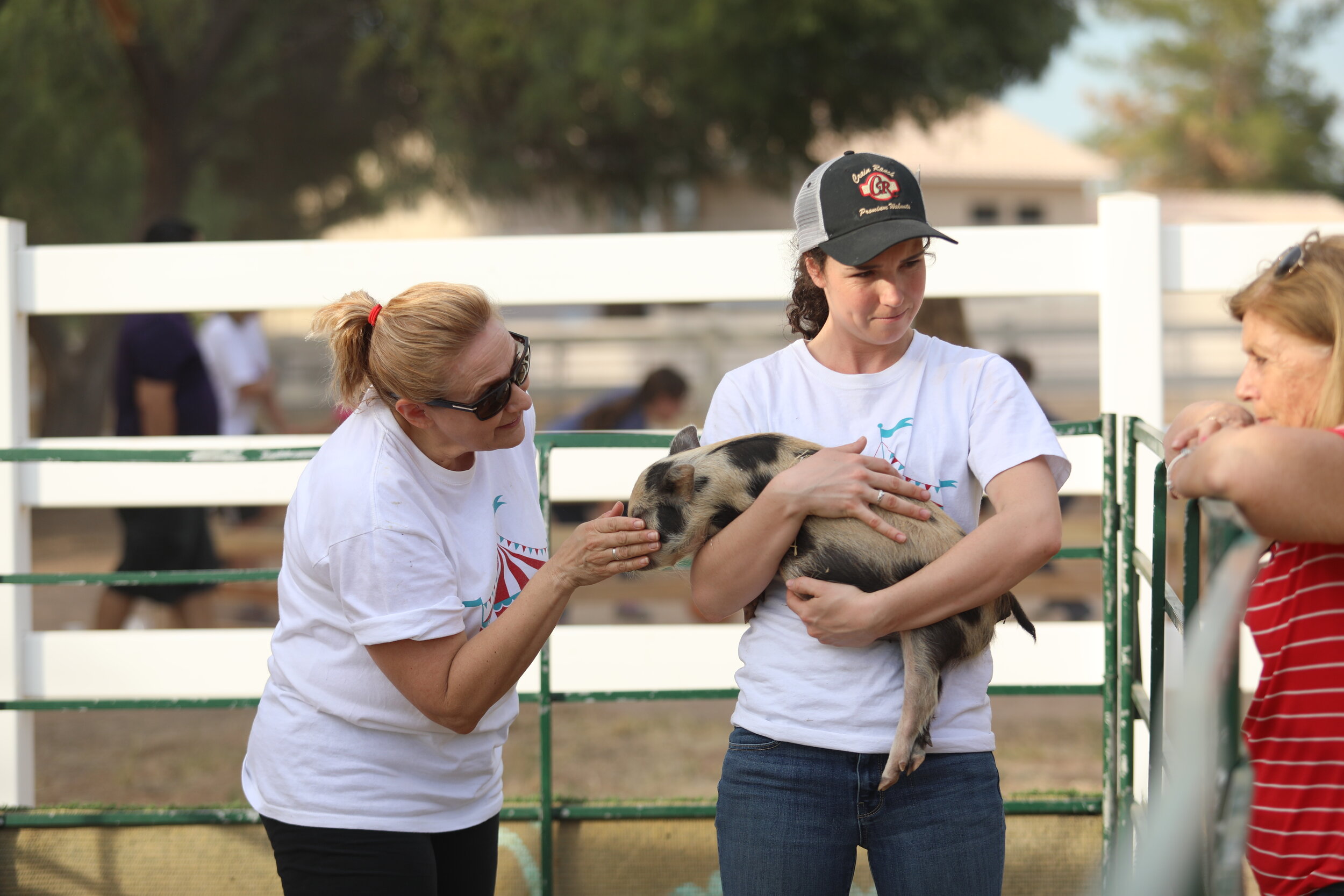More piglet love from Ms. Brenda and Ms. Heather!