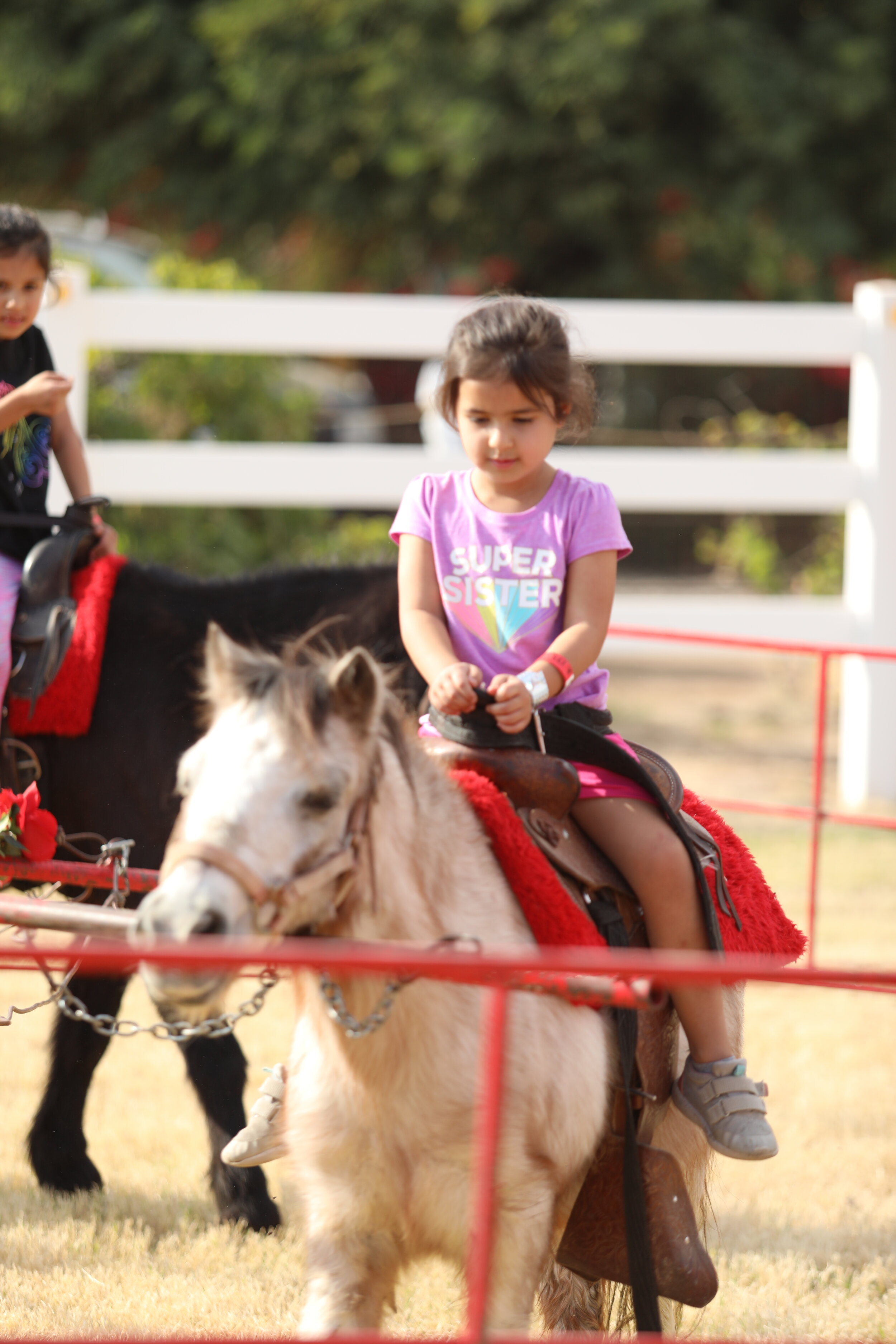 Giddy Up! We love pony rides!