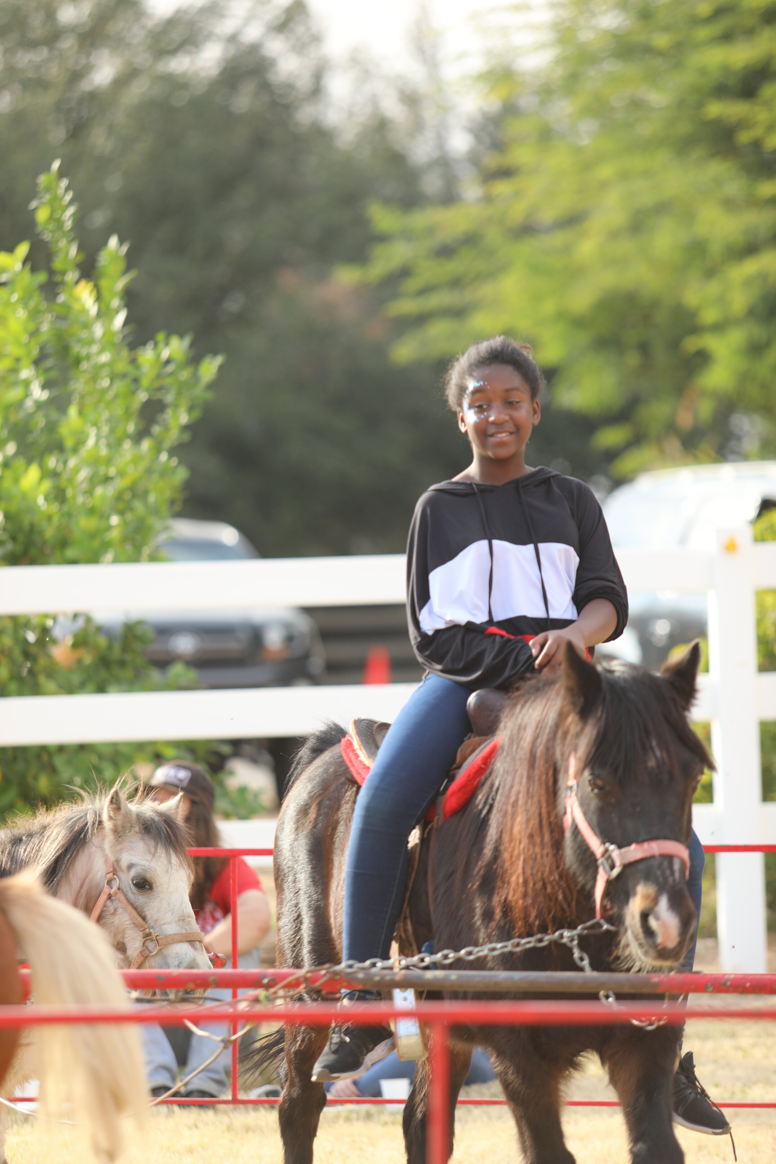 Pony Rides