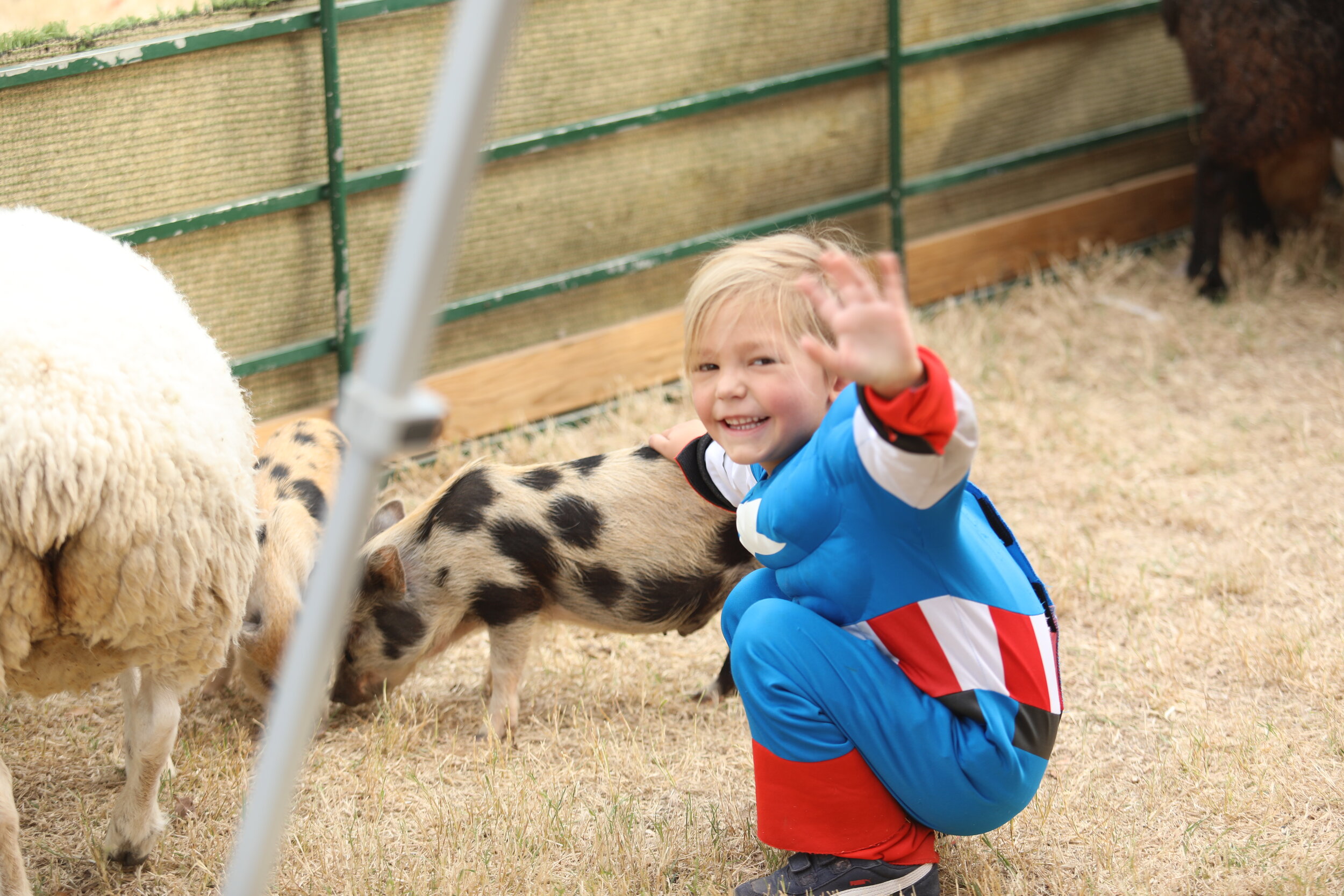 Hello!!! :) Farm Animals!