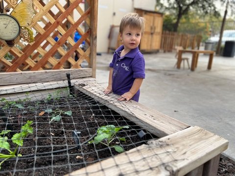 Alessio gardening.jpeg