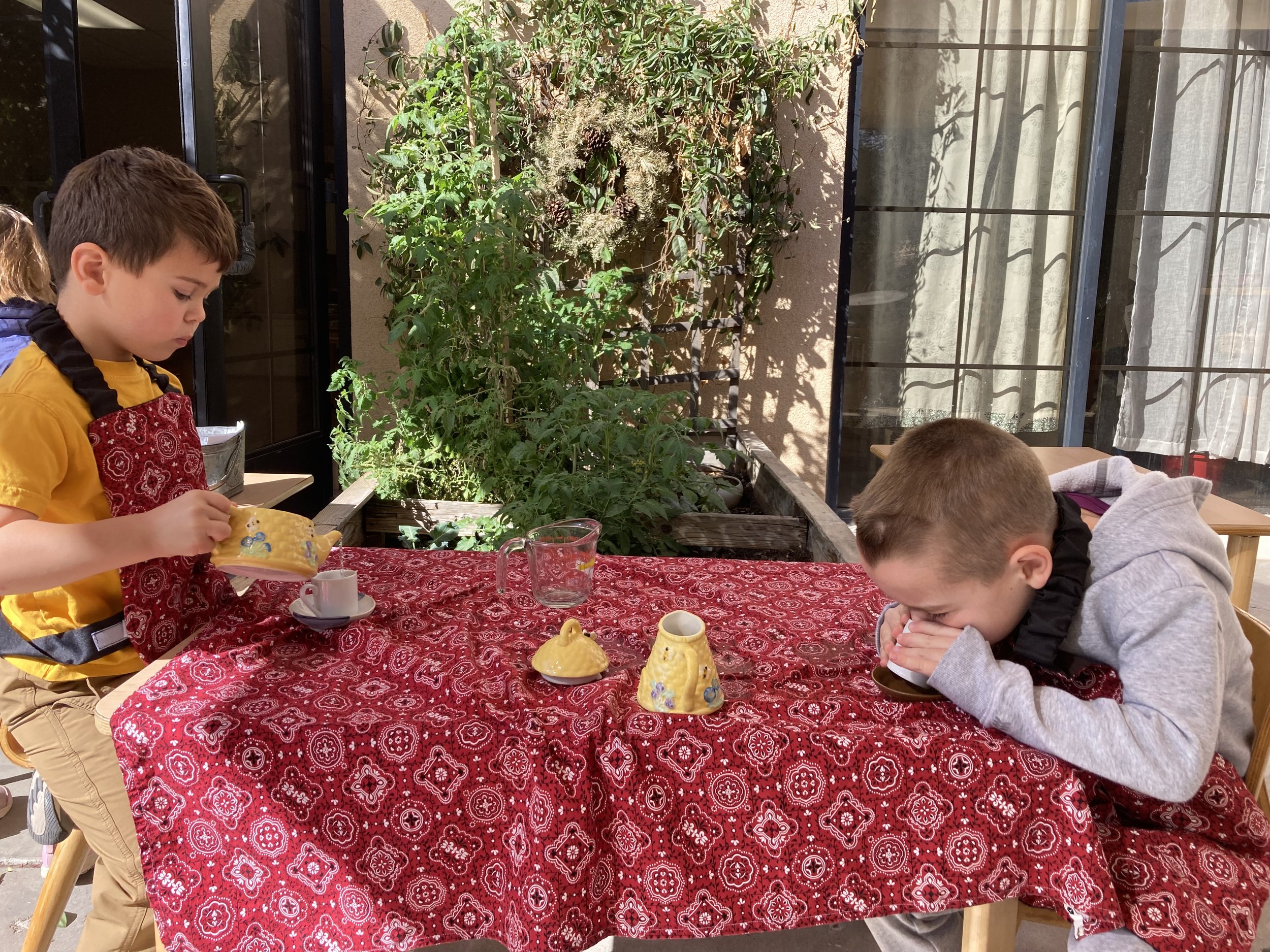 IMG_6766.jpeg