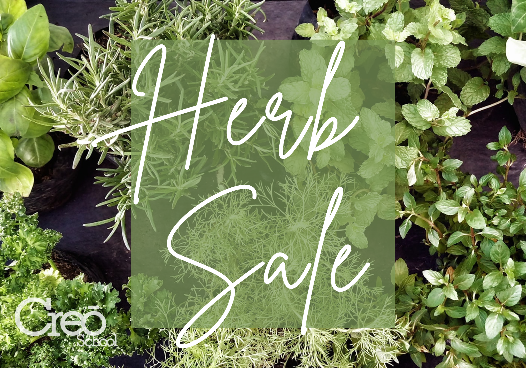 All: Herb Sale