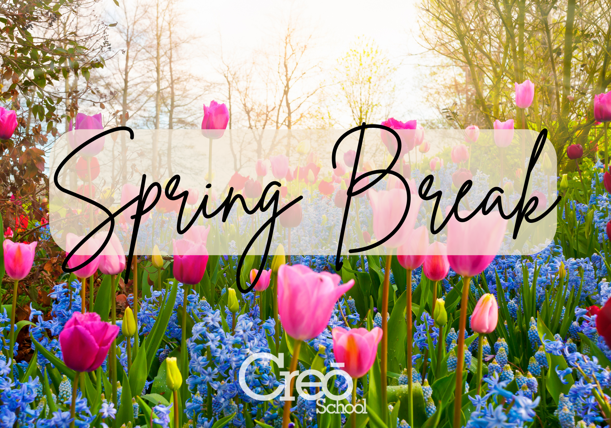 ALL: School Closed (all/all in session) - Spring Break