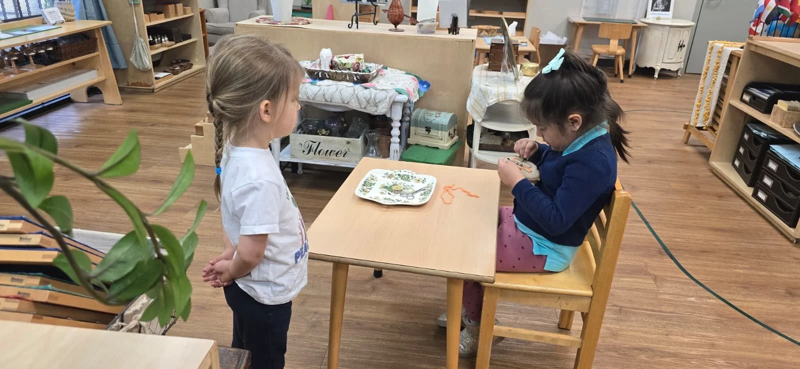 WhatsApp Image 2025-11-20 at 12.46.22 PM.jpeg