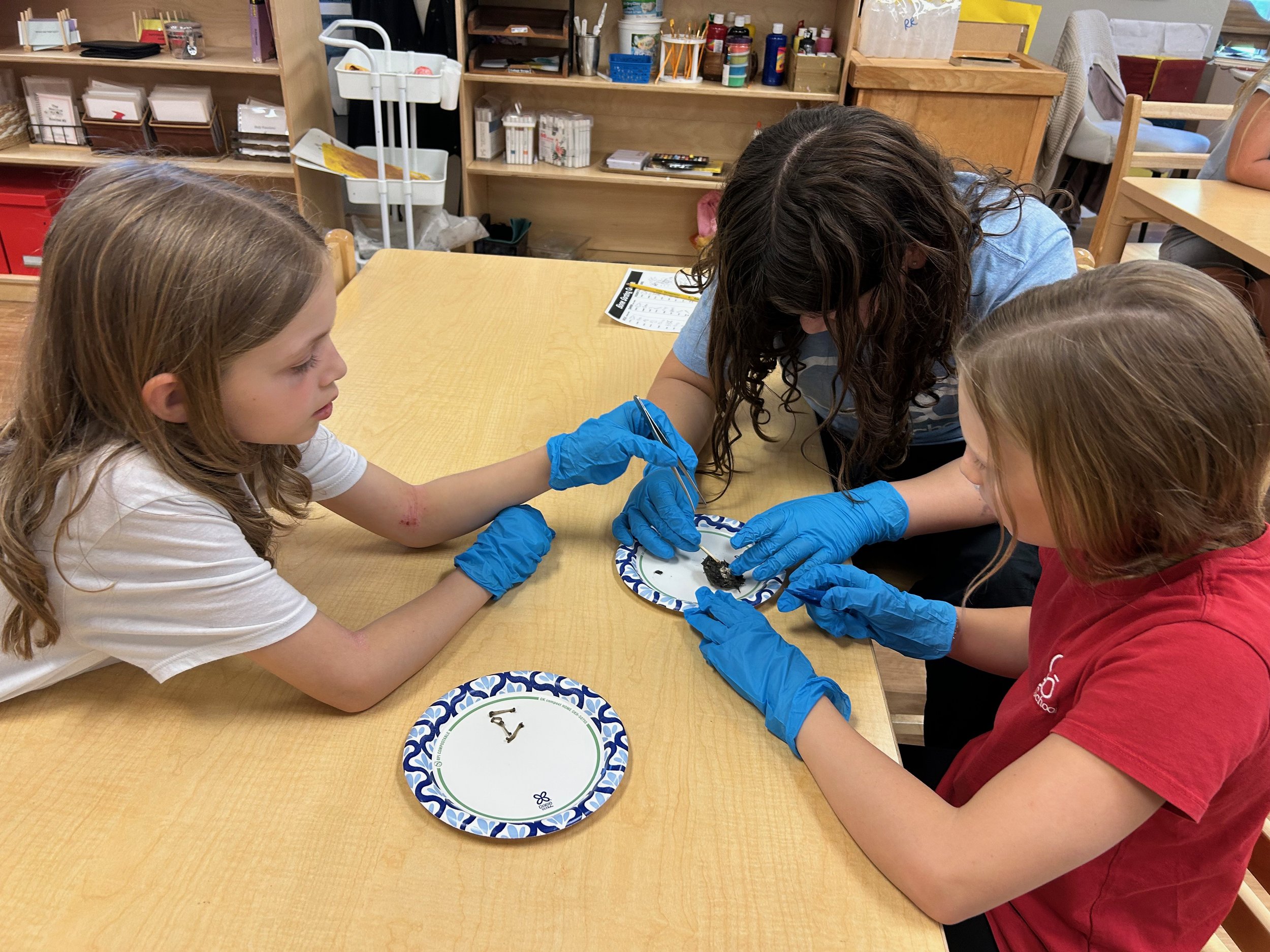 RR Nov 2025 - 10.jpeg